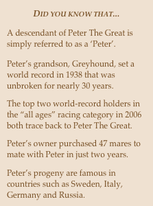 Did you know that...


A descendant of Peter The Great is simply referred to as a ‘Peter’.

Peter’s grandson, Greyhound, set a world record in 1938 that was unbroken for nearly 30 years.

The top two world-record holders in the “all ages” racing category in 2006 both trace back to Peter The Great.

Peter’s owner purchased 47 mares to mate with Peter in just two years.

Peter’s progeny are famous in countries such as Sweden, Italy, Germany and Russia.
